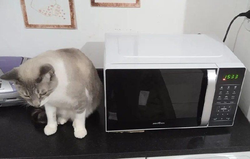 Micro-ondas 20L Britânia Limpa Fácil 1100W BMO23, 127V