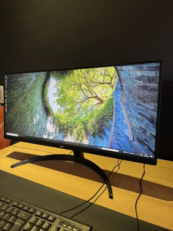 MONITOR ULTRAWIDE LG 29"