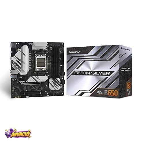 Biostar Placa-mãe B650M-SILVER Micro ATX