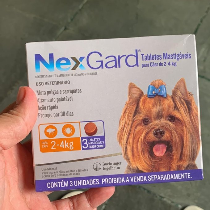 NexGard Antipulgas e Carrapatos para Cães de 2 a 4kg 3 tabletes