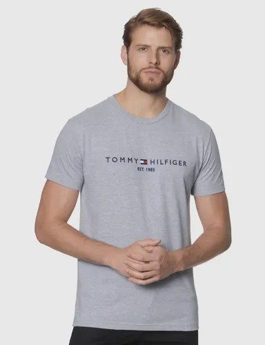 Camiseta Tommy Hilfiger Im Core Logo Light Grey Heather N/a Gg Liso