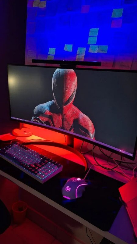 Monitor LG UltraWide Curvo 34" QuadHD 2K 100Hz - 34WR50QK-B
