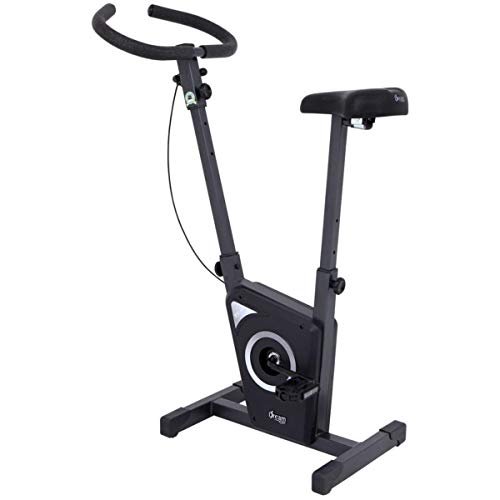 Dream Fitness EX 450 - Bicicleta Ergométrica Vertical, Chumbo, Único