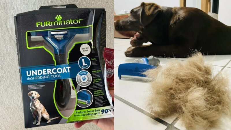 Escova Rasqueadeira Furminator Tira Pelos Animais