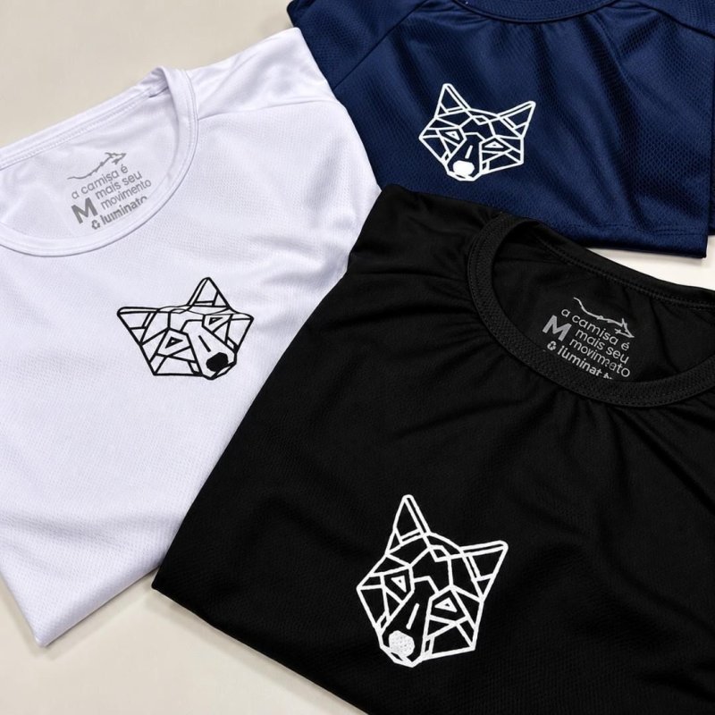 Kit com 3 Camisetas Dry Alpha (P ao GG)