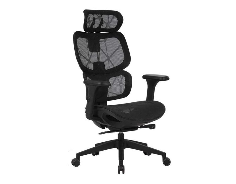 Cadeira Ergonômica Elements Siggy