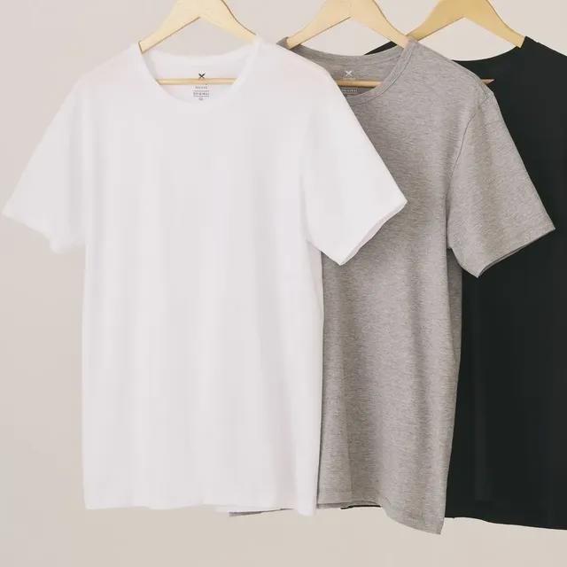 Kit Com 3 Camisetas Masculinas Básicas Slim Hering